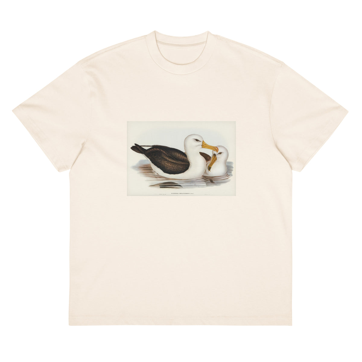 White T-shirt Black-Eyebrowed Albatros Diomedea Melanophrys Illustrated - Elizabeth Gould 1804 Signature