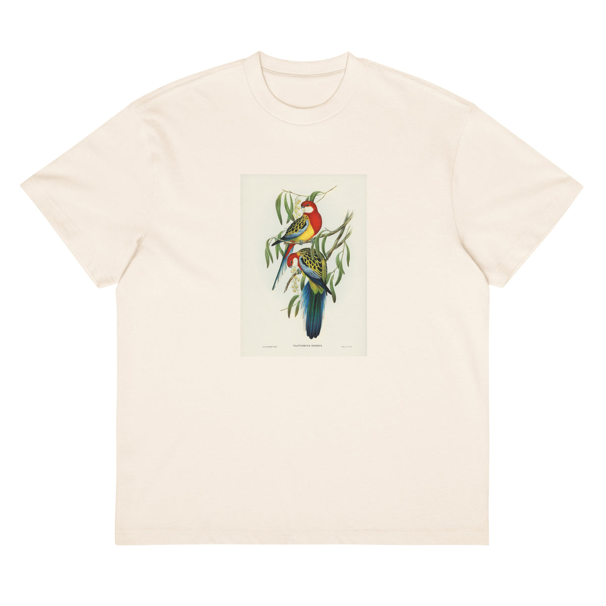 White T-shirt Rose-Hill Parakeet Platycercus Eximius Illustrated - Elizabeth Gould 1804 Signature