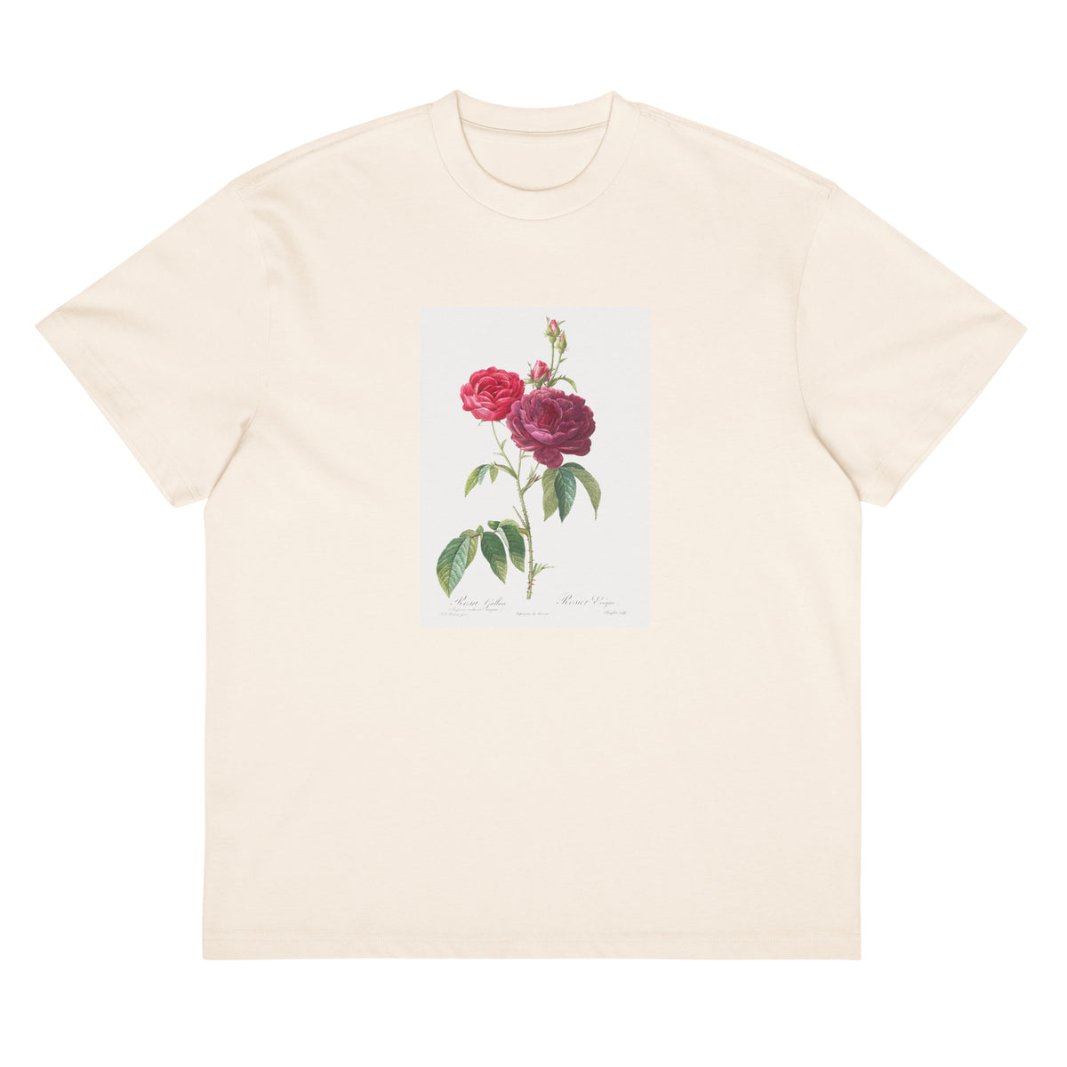 White T-shirt Purple French Rose Rosa Gallica Purpuro-Violacea Magna Signature