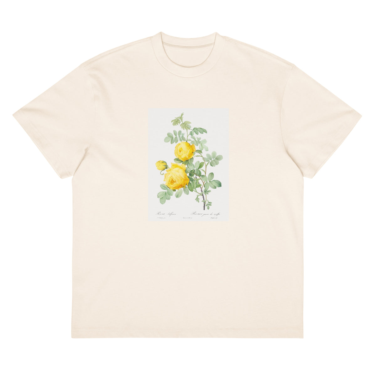 White T-shirt Rosa Hemisphaerica Also Known As Yellow Rose Of Sulfur Rosa Sulfurea Signature