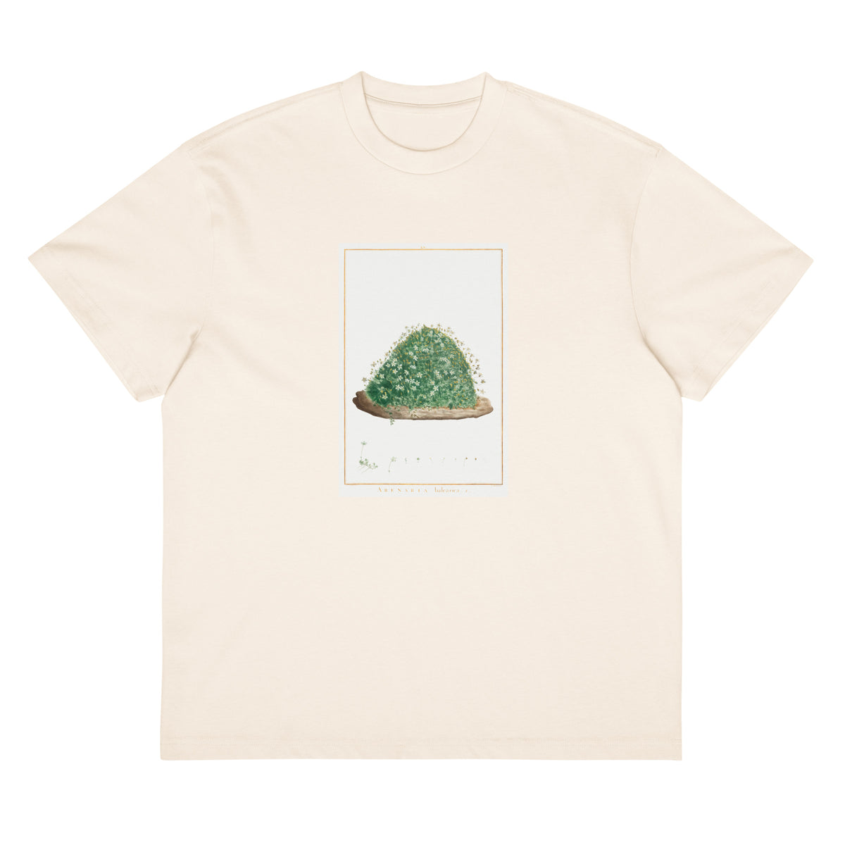 White T-shirt Arenaria Balearica Image - Pierre-Joseph Redoute And Charles Louis L Heritier 1784 Signature