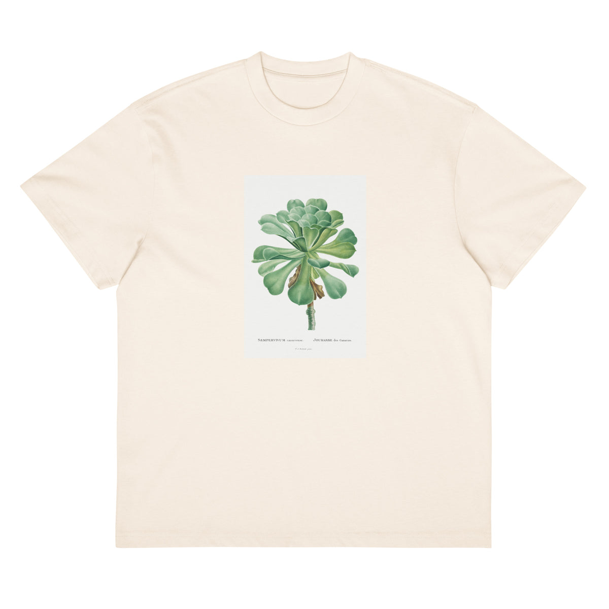 White T-shirt Sempervivum Canariense Image Signature