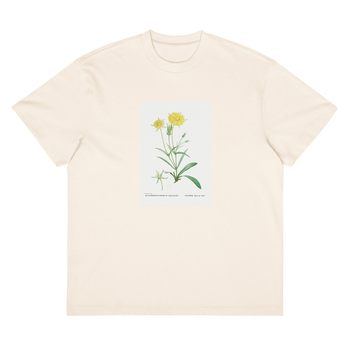 White T-shirt Mesembryanthemum Helianthoides Spatula Leaved Fig Marigold - Pierre-Joseph 1799 Signature