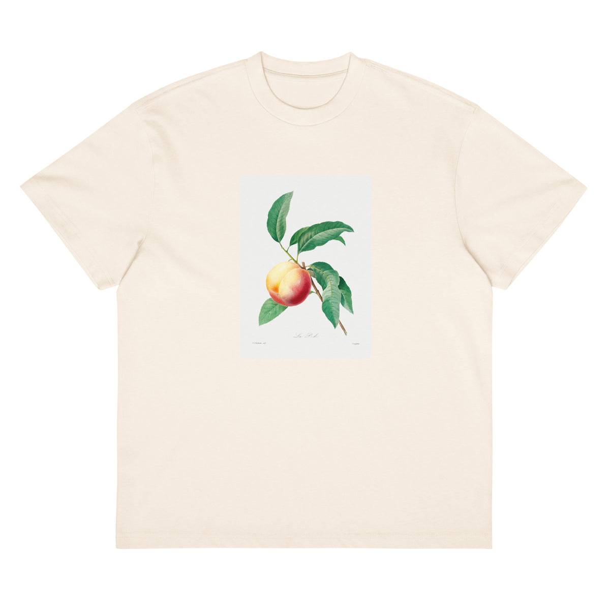 White T-shirt Peach Fruit On A Branch - Pierre-Joseph Redoute 1759 Signature