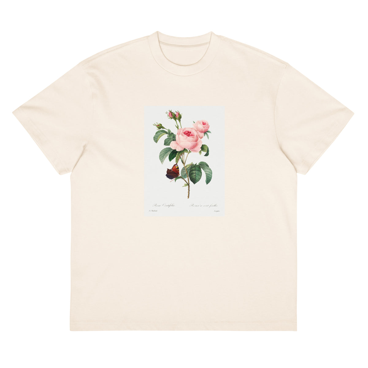 White T-shirt Cabbage Rose - Pierre-Joseph Redoute 1759 Signature