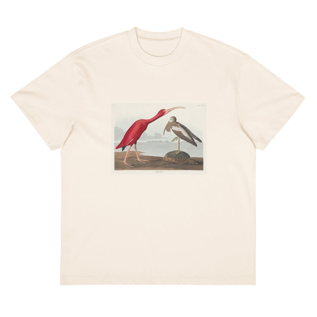 White T-shirt Scarlet Ibis - John James Audubon 1827 Signature