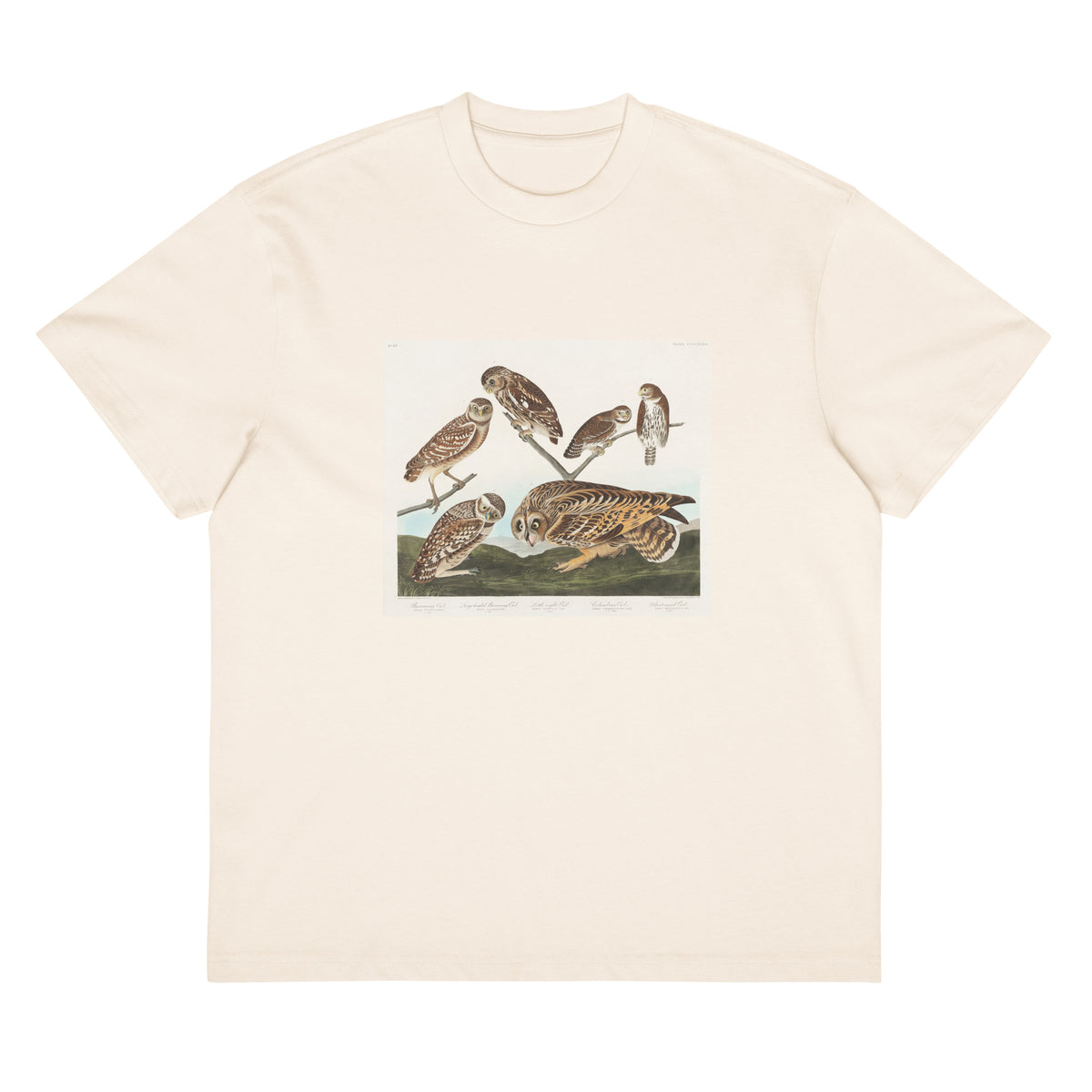 White T-shirt Burrowing Owl Large-Headed Burrowing Owl Little Night Owl Columbian Owl And Short-Cared Owl - John James Audubon 1827 Signature