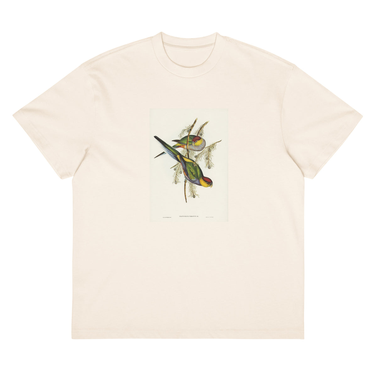 White T-shirt Red-Capped Parakeet Platycercus Pileatus Illustrated - Elizabeth Gould 1804 Signature