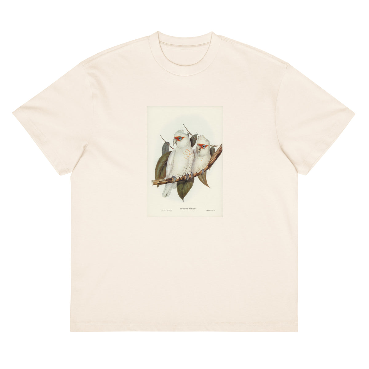 White T-shirt Long-Billed Cockatoo Licmetis Nasicus Illustrated - Elizabeth Gould 1804 Signature