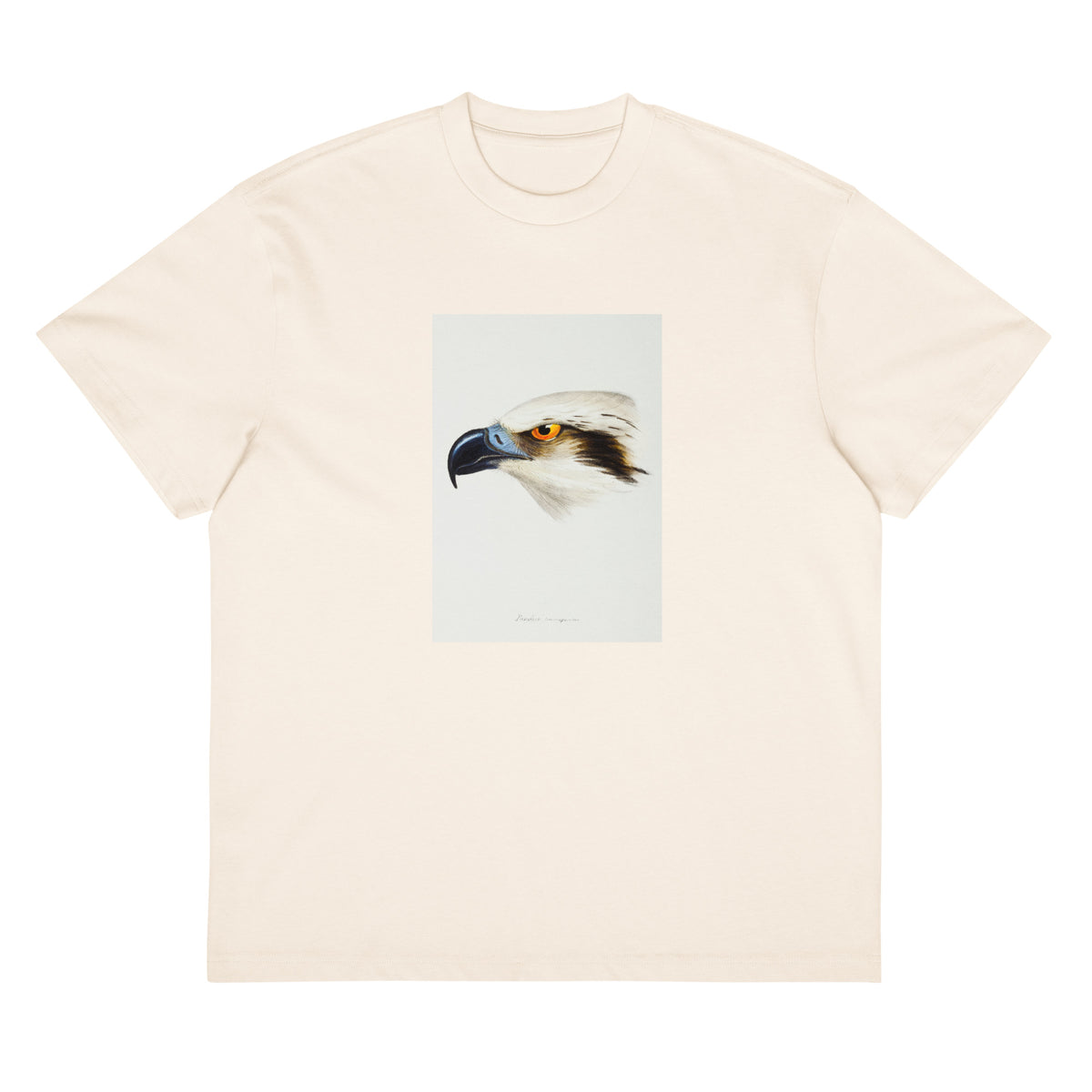 White T-shirt White-Headed Osprey Pandion Leucocephalus Illustrated Signature
