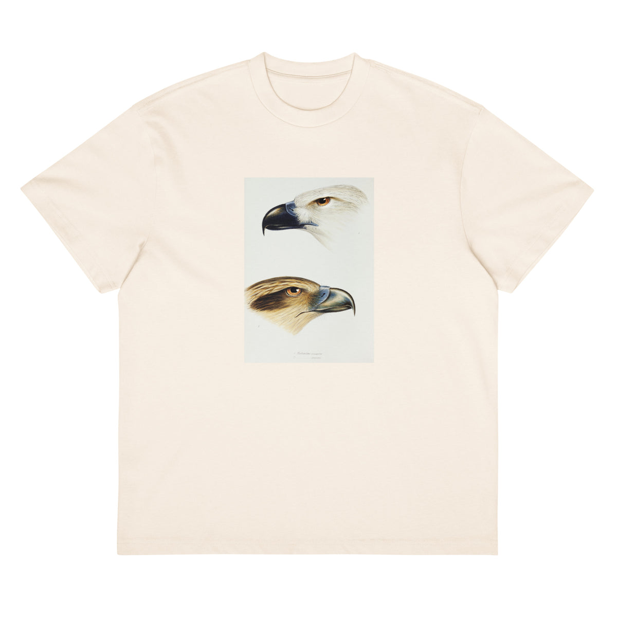 White T-shirt 1 White-Bellied Sea Eagle Haliaeetus Leucogaster 2 Whistling Kite Haliastur Sphenurus Illustrated Signature