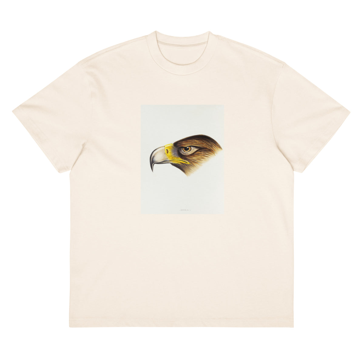 White T-shirt Wedge-Tailed Eagle Aquila Fucosa Illustrated Signature