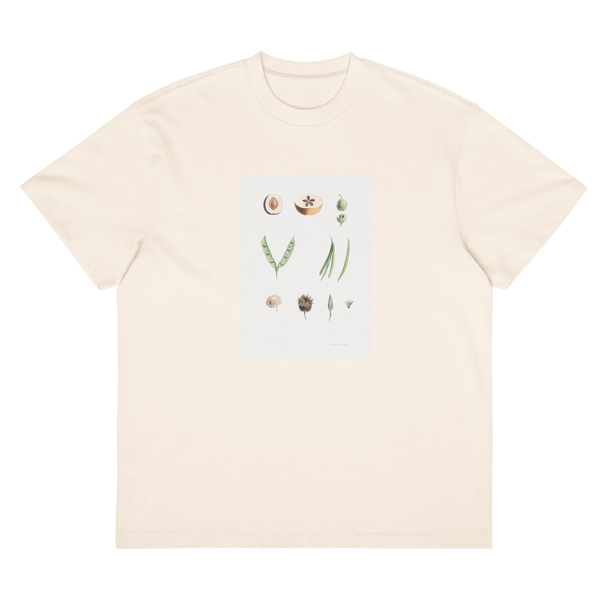 White T-shirt Plants Part - Pierre-Joseph Redoute 1759 Signature