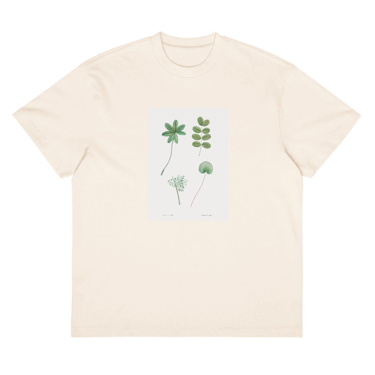 White T-shirt Tree Leaf Set - Pierre-Joseph Redoute 1759 Signature