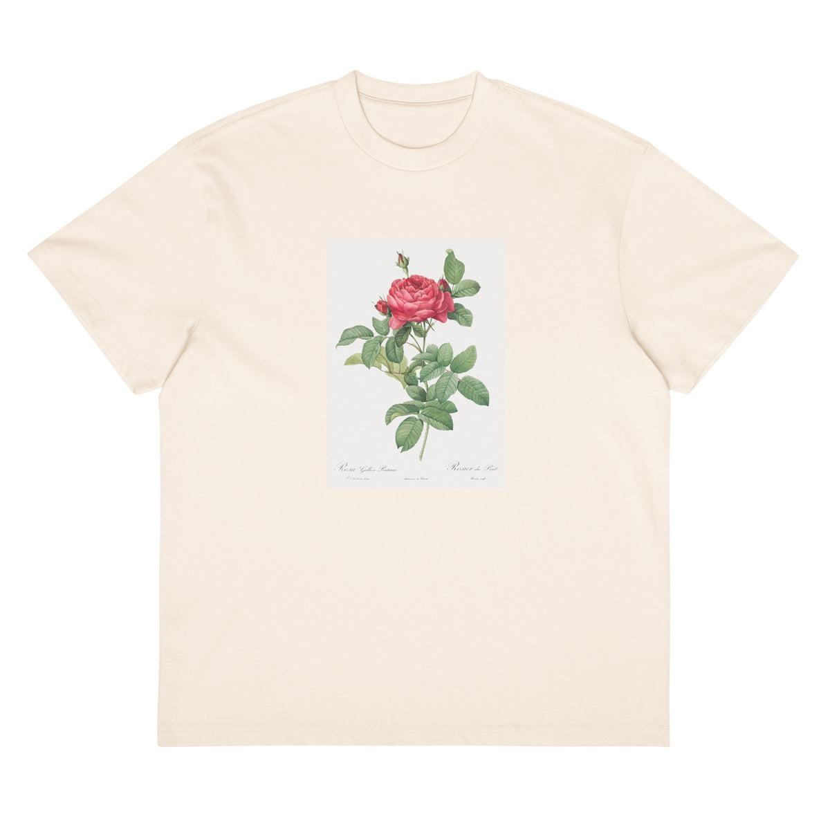 White T-shirt Rosa Gallica Pontiana Also Known As Bridge Rose Signature