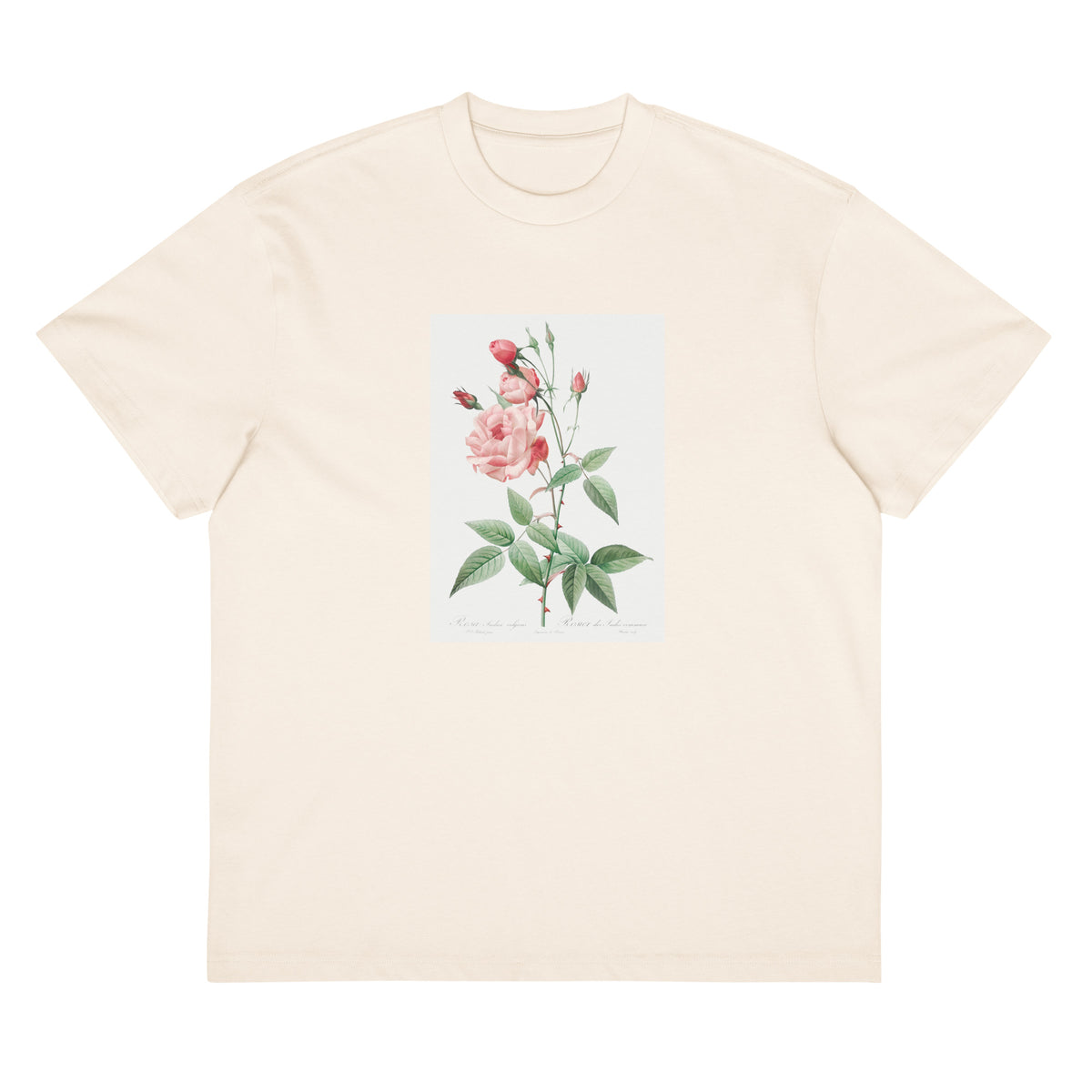 White T-shirt Old Blush China Also Known As Common Rose Of India Rosa Indica Vulgaris Signature