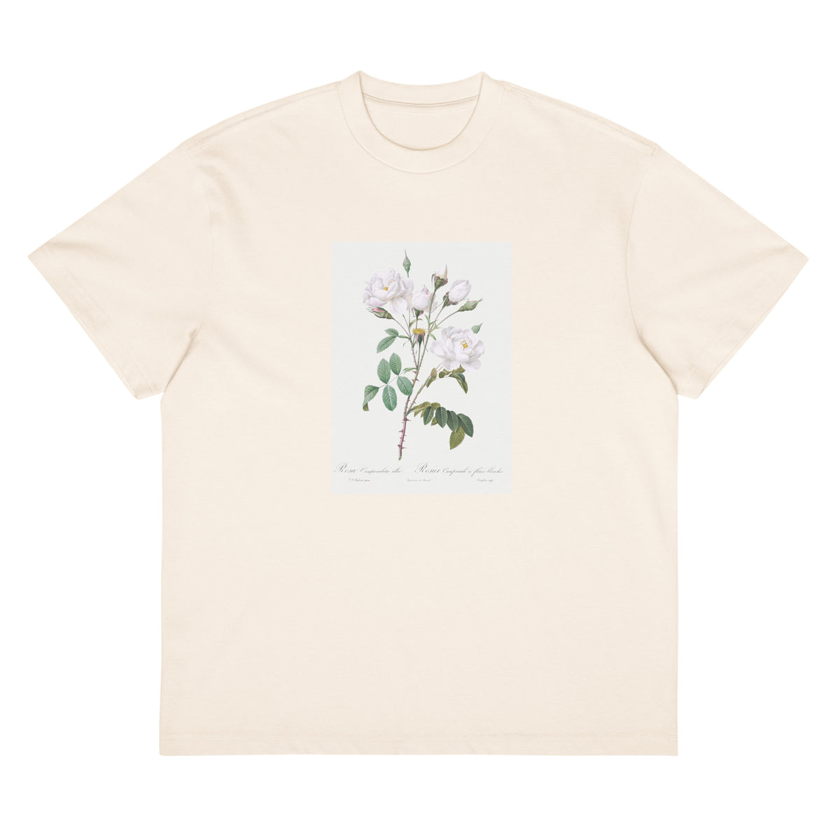 White T-shirt Rosa Campanulata Alba Also Known As Pink Bellflowers To White Flowers Signature