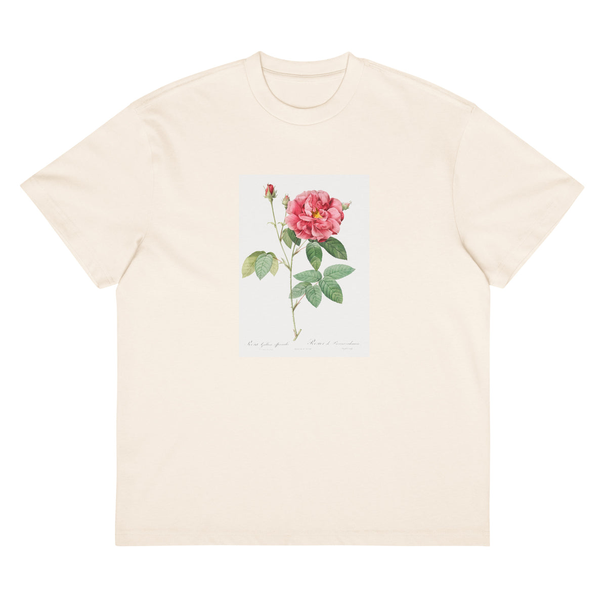 White T-shirt French Rose Also Known As Ordinary Provins Rosebush Rosa Galluca Offuenalis Signature