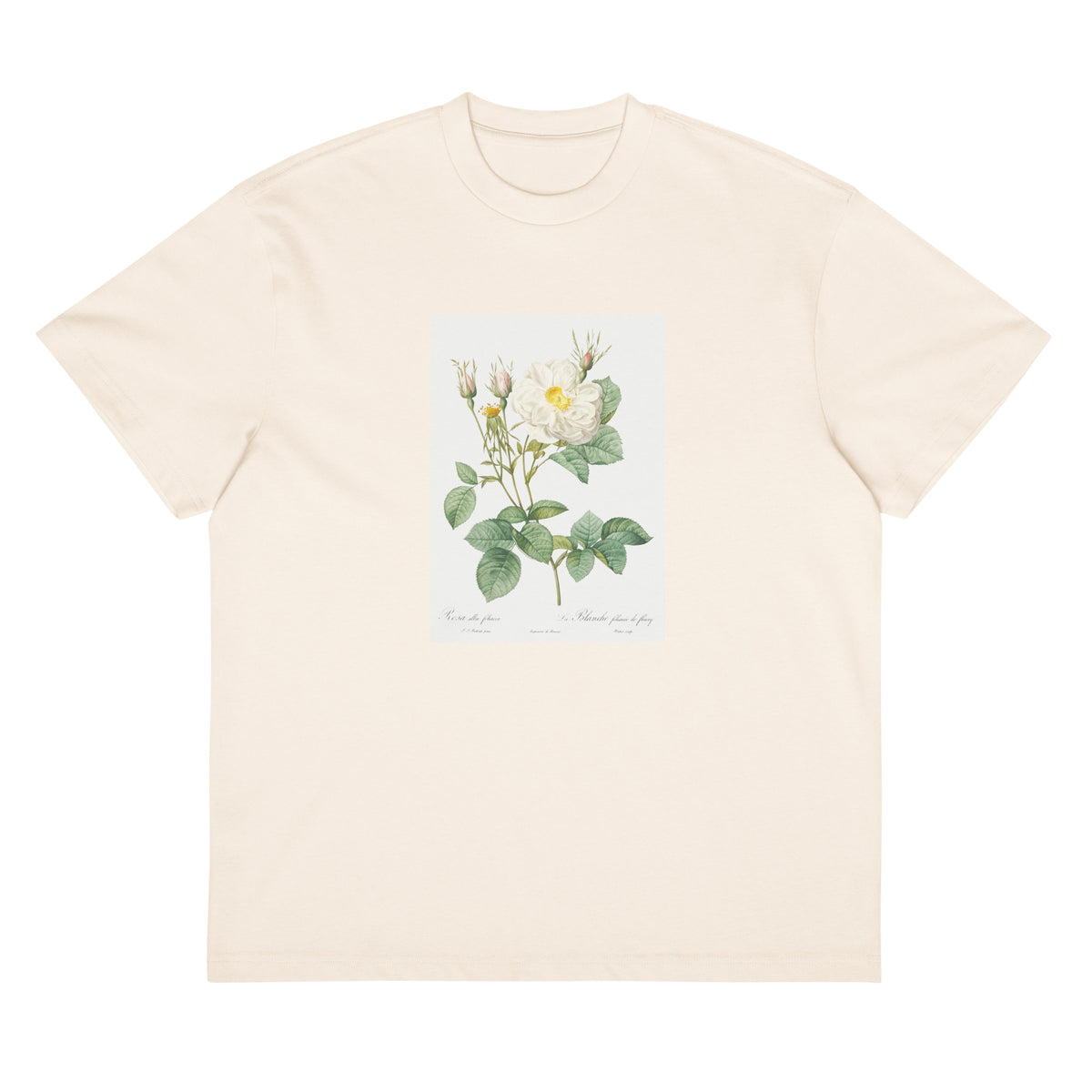 White T-shirt Rosa X Alba Also Known As The White Leaf Of Fleury Rosa Alba Foliacea Signature