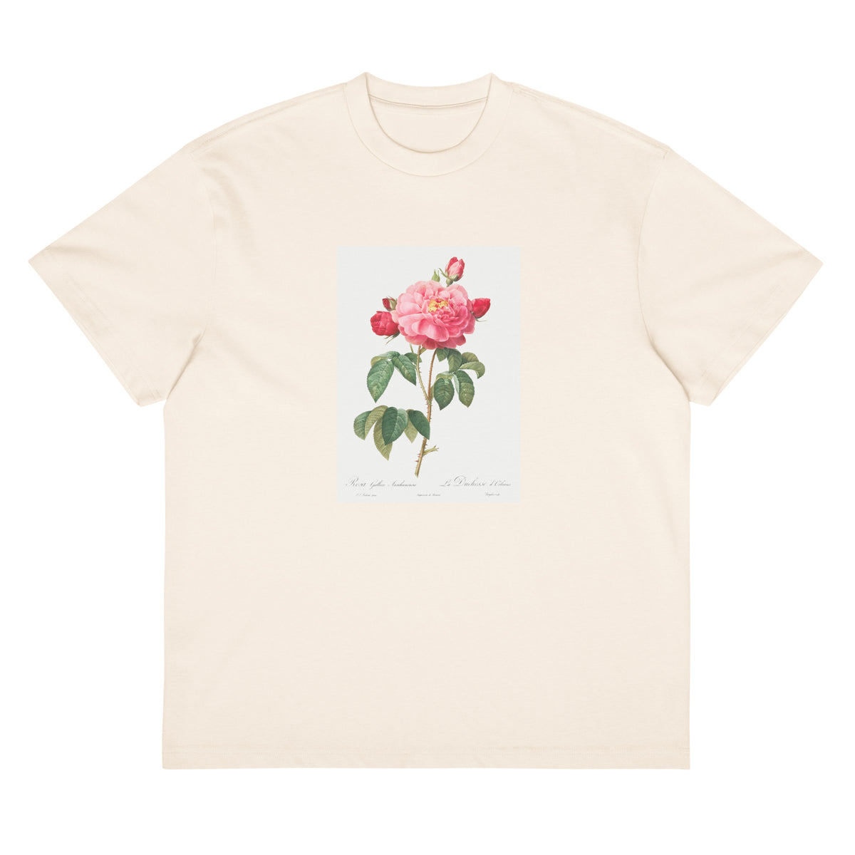 White T-shirt Gallic Rose Also Known As The Duchess Of Orleans Rosa Gallica Aurelianensis Signature
