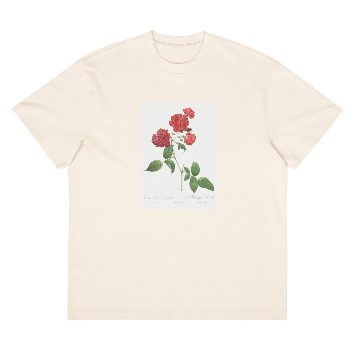 White T-shirt Red Cabbage Rose Also Known As Bengal Eyelet Rosa Indica Caryophyllea - Pierre-Joseph Redoute Original From The Library Of Congress 1817 Signature