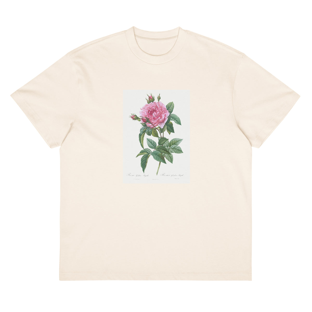White T-shirt Gallic Rose Rosa Gallica Regalis Signature