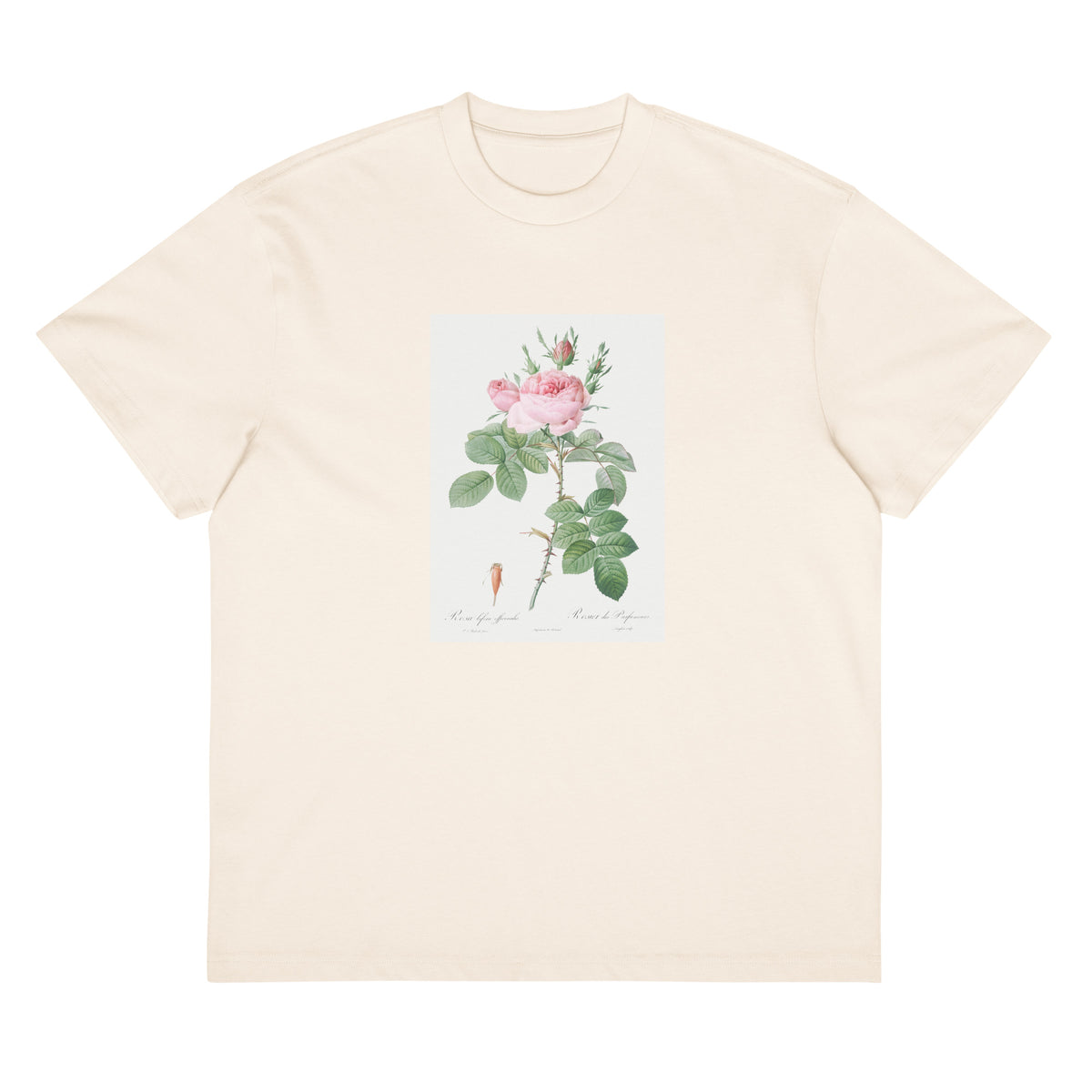 White T-shirt Rosa Bifera Officinalis Also Known As Rose Of Perfume Signature