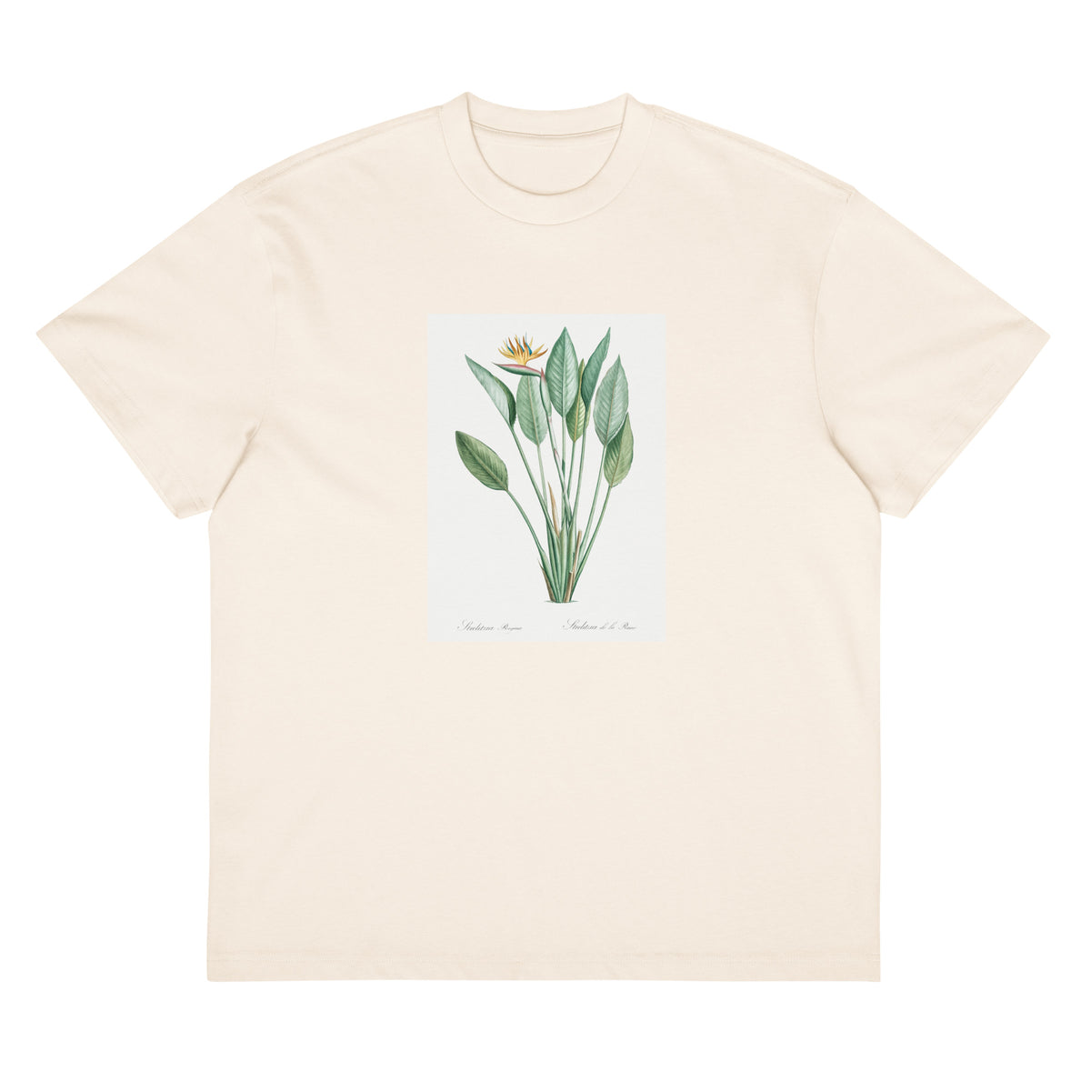 White T-shirt Bird Of Paradise Illustration II Signature