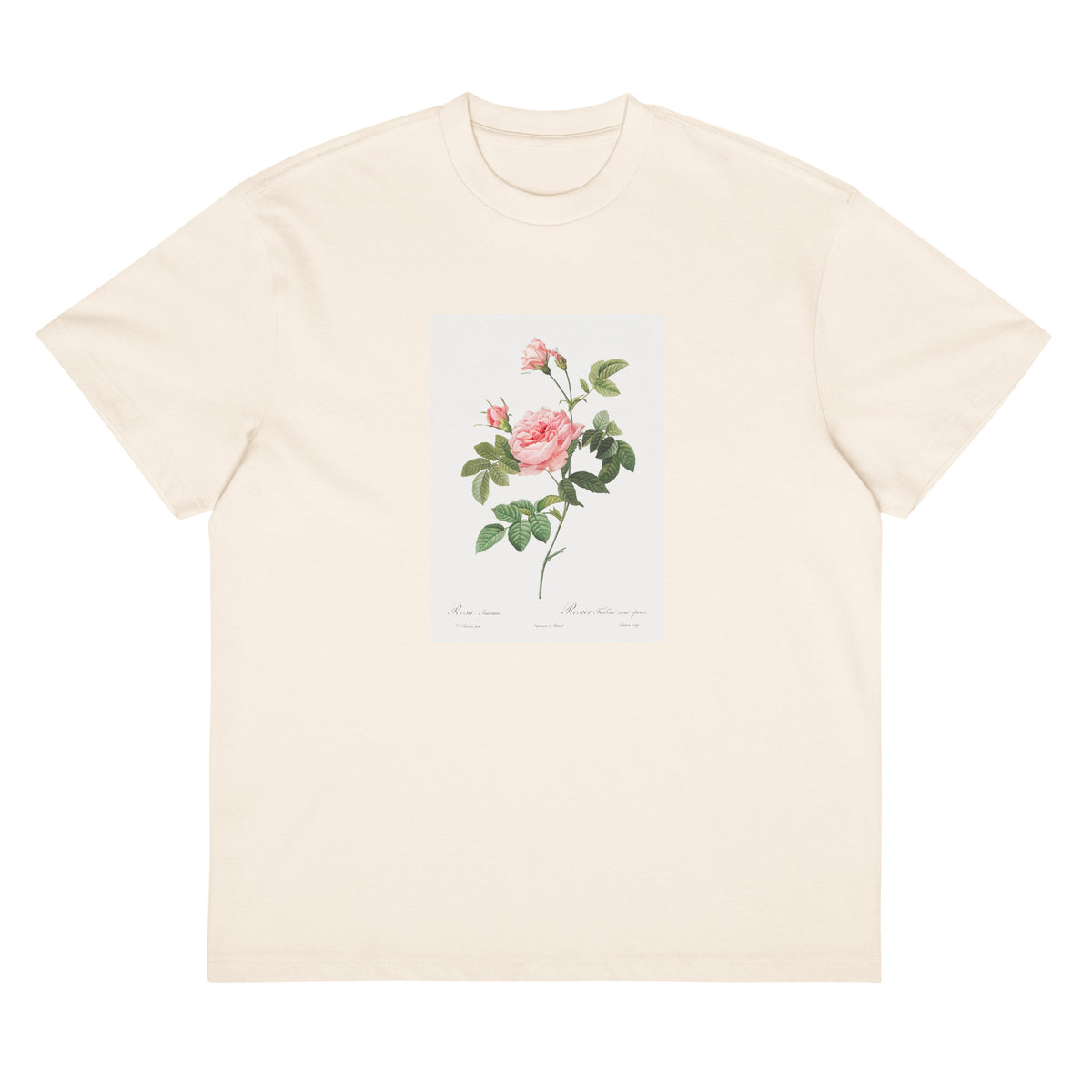 White T-shirt Boursault Rose Also Known As Rose Turbine Without Thorns Rosa Inermis Signature