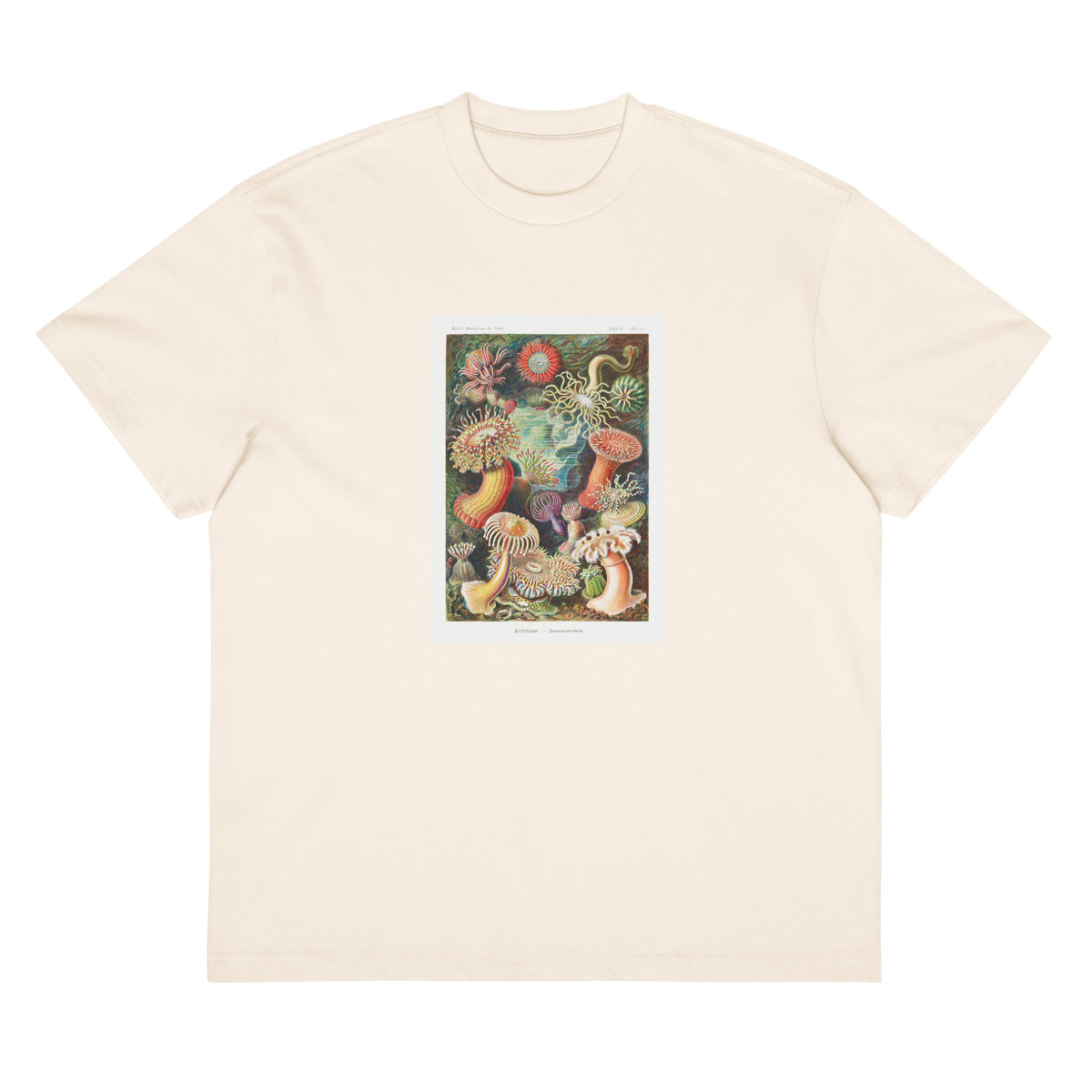 White T-shirt Actiniae Seeanemonen Signature