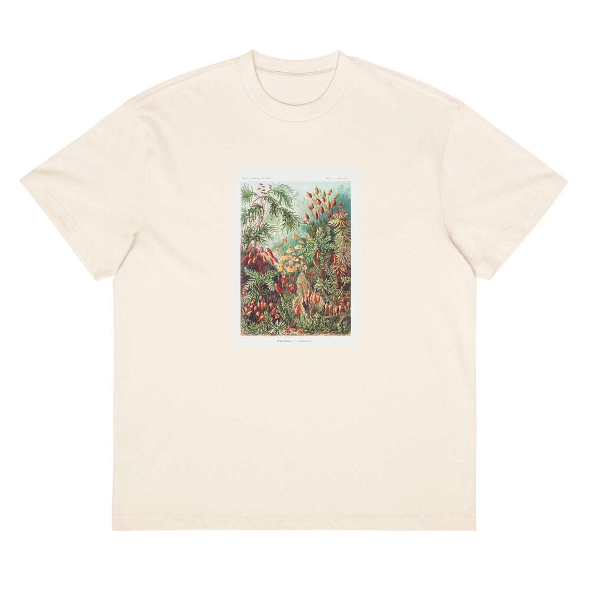 White T-shirt Muscinae Laubmoose A Giltsch Gem Signature