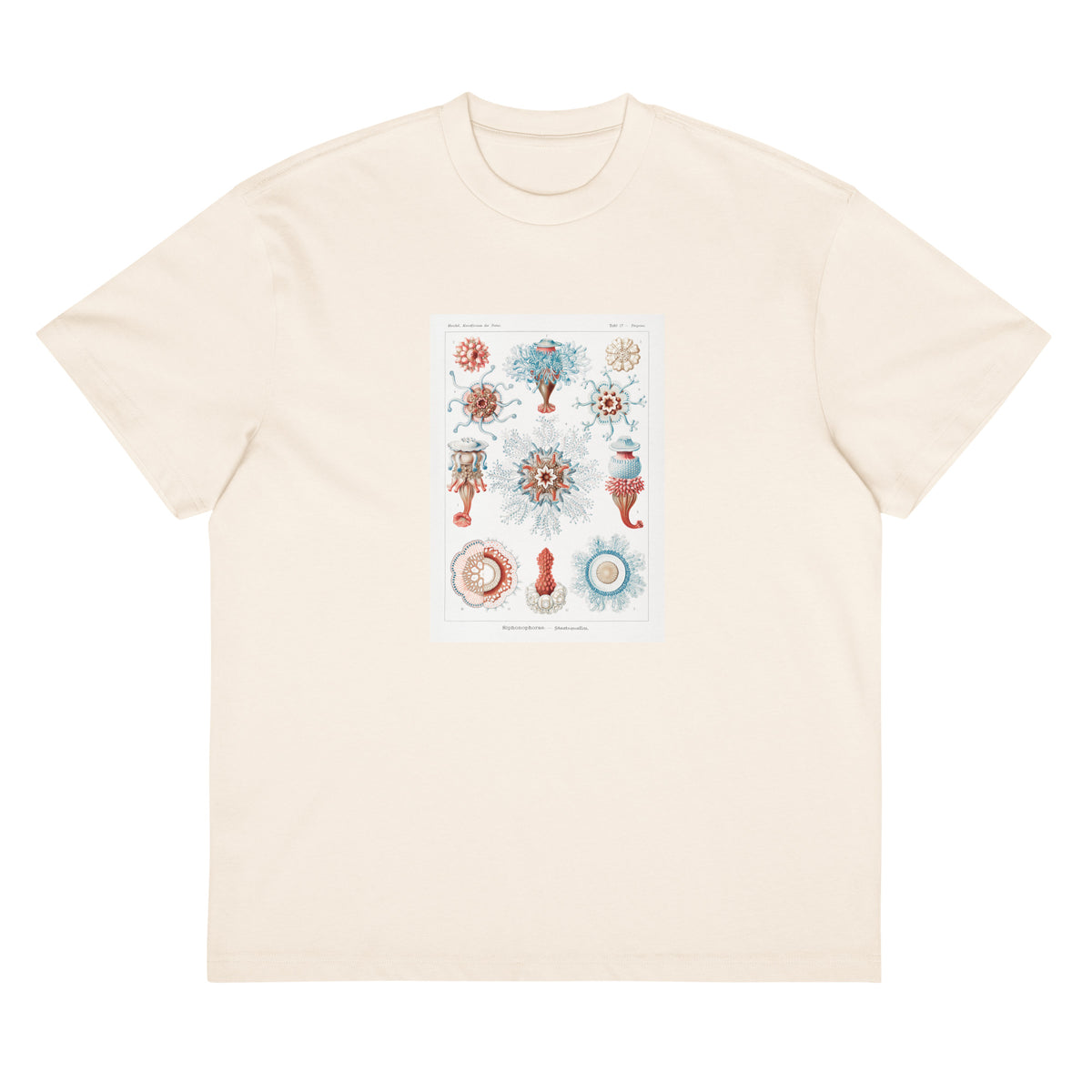 White T-shirt Siphonophorae Staatsquallen Signature