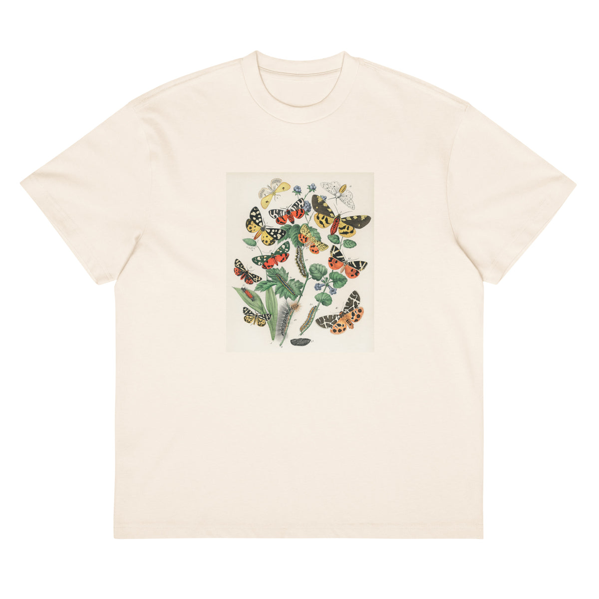 White T-shirt Illustrations - William Forsell Kirby 1882 Signature