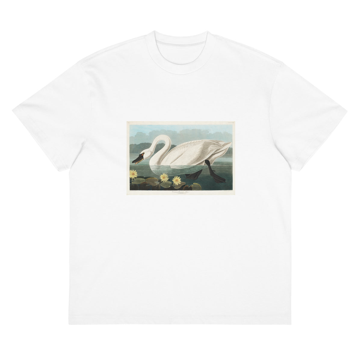 White T-shirt Common American Swan - John James Audubon 1827 Signature