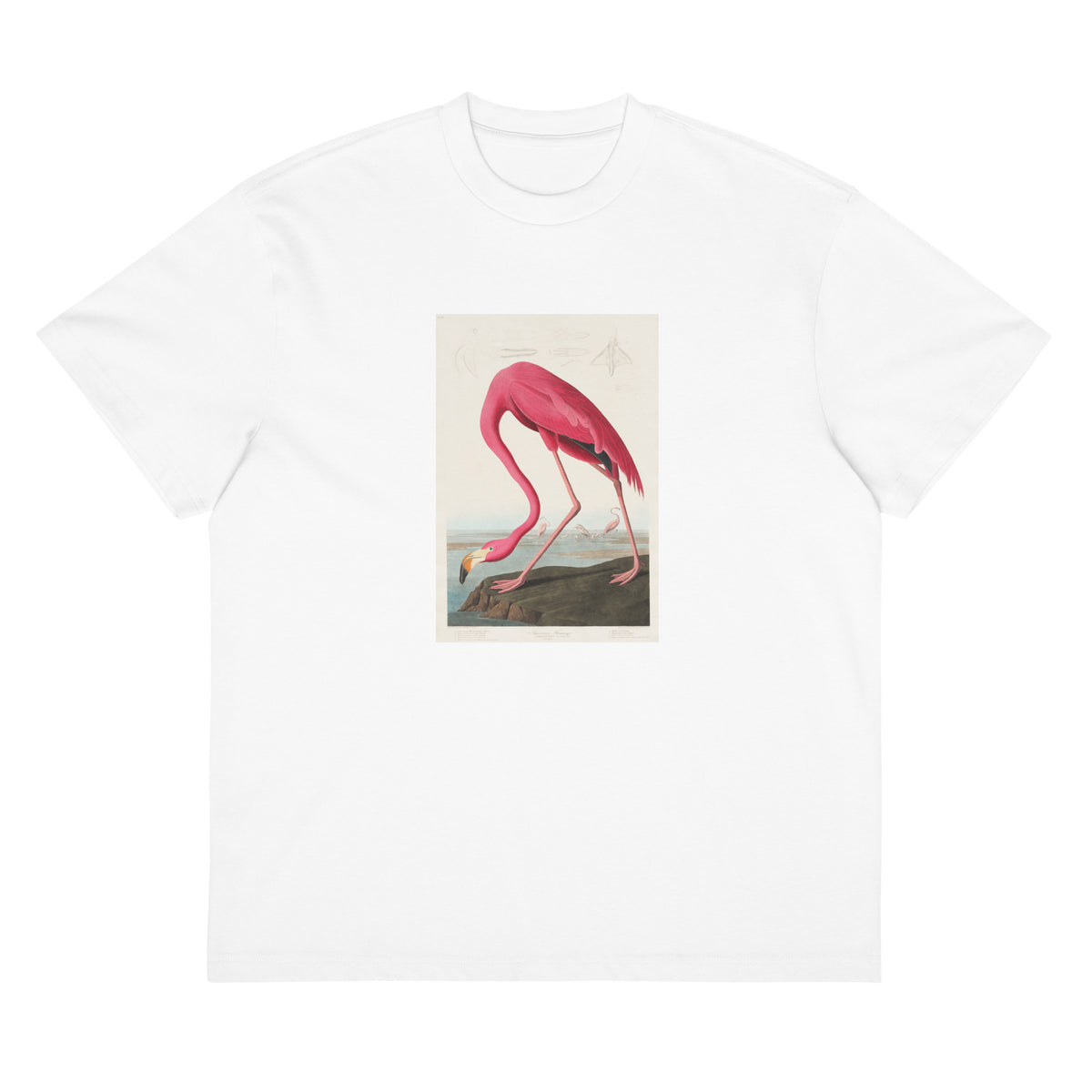 White T-shirt Pink Flamingo - John James Audubon 1827 Signature
