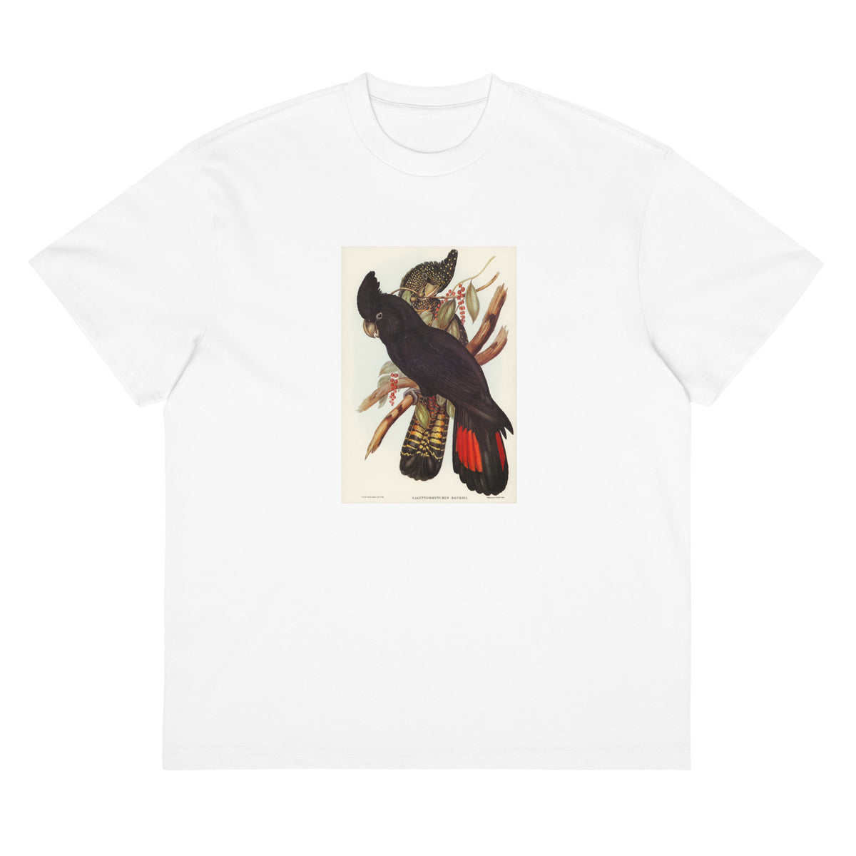 White T-shirt Banksian Cockatoo Calyptorhynchus Banksii Illustrated - Elizabeth Gould 1804 Signature