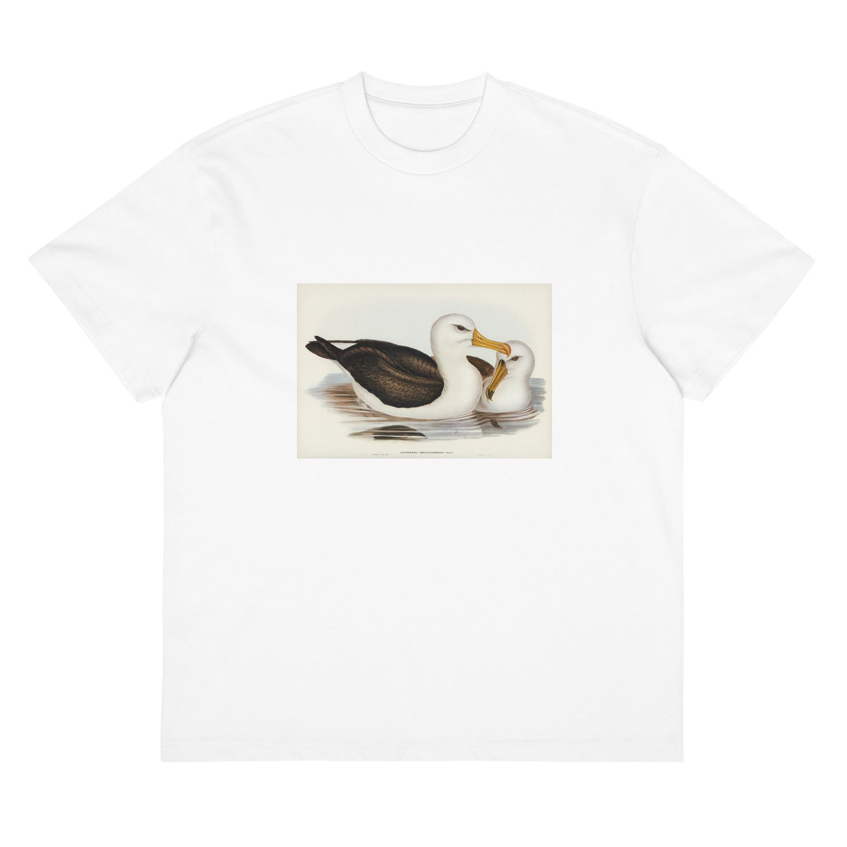 White T-shirt Black-Eyebrowed Albatros Diomedea Melanophrys Illustrated - Elizabeth Gould 1804 Signature