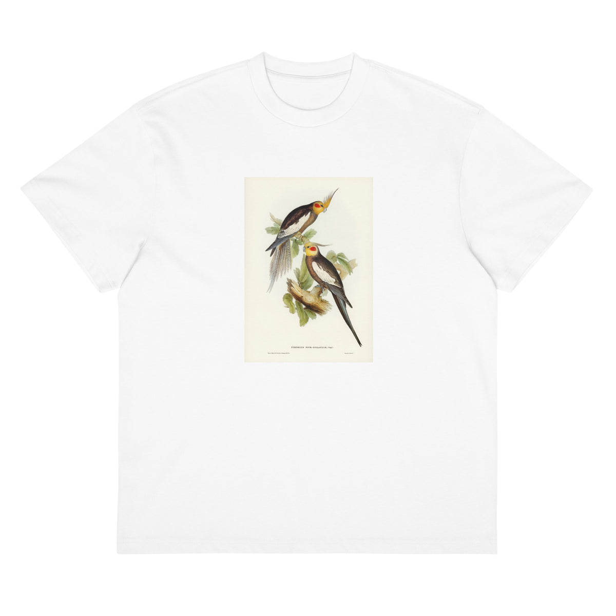 White T-shirt Cockatoo Parakeet Nymphicus Novae Hollandiae Illustrated - Elizabeth Gould 1804 Signature