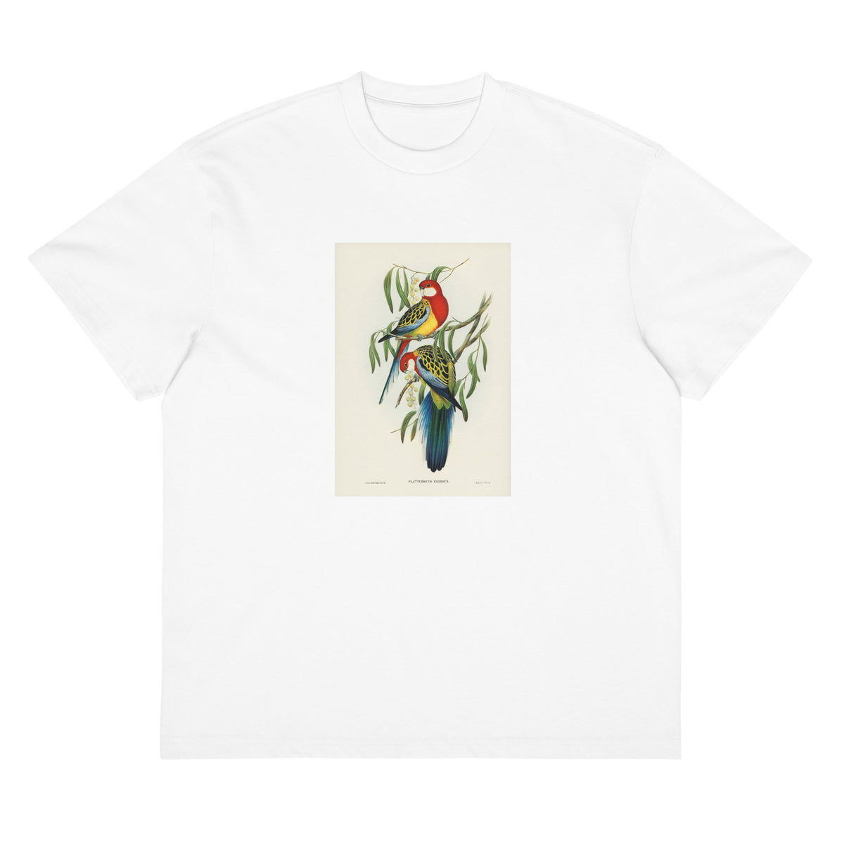 White T-shirt Rose-Hill Parakeet Platycercus Eximius Illustrated - Elizabeth Gould 1804 Signature
