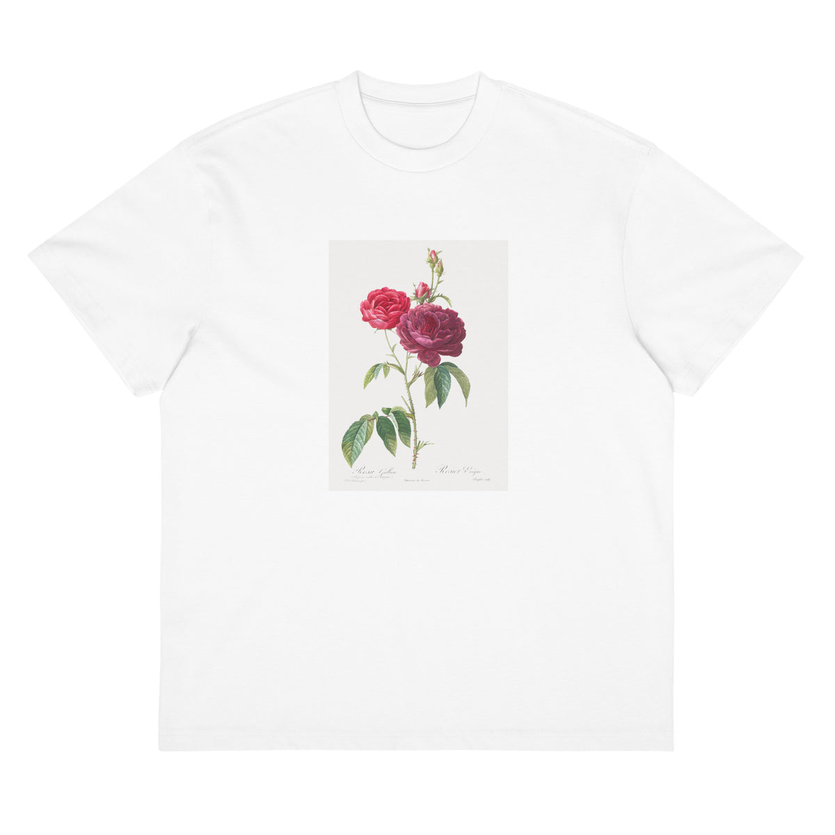 White T-shirt Purple French Rose Rosa Gallica Purpuro-Violacea Magna Signature