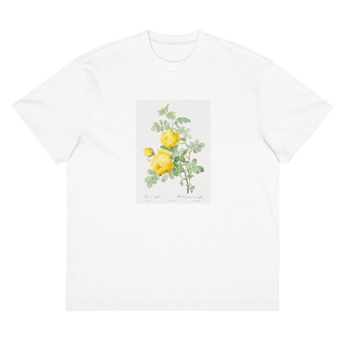 White T-shirt Rosa Hemisphaerica Also Known As Yellow Rose Of Sulfur Rosa Sulfurea Signature