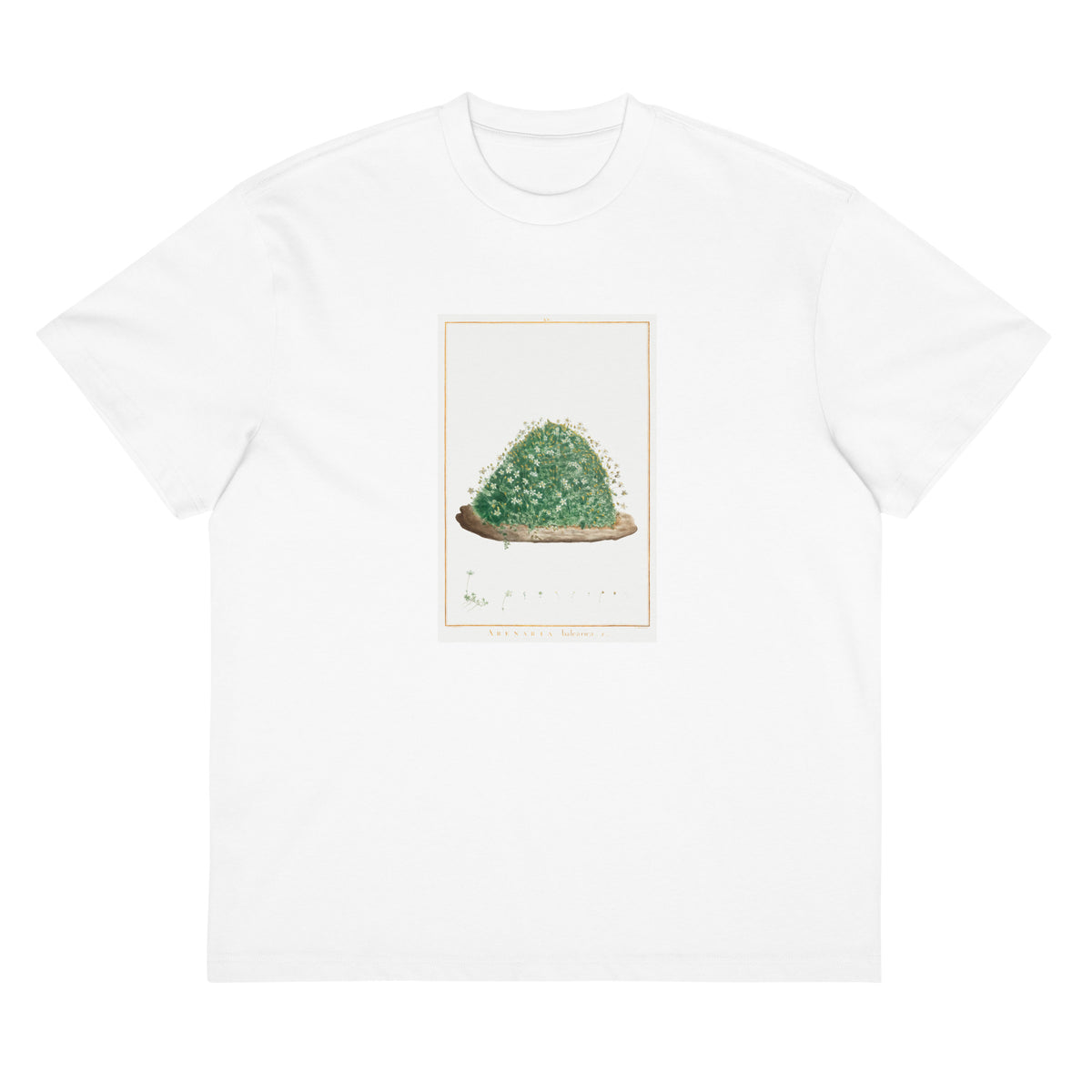 White T-shirt Arenaria Balearica Image - Pierre-Joseph Redoute And Charles Louis L Heritier 1784 Signature