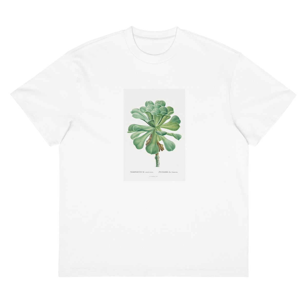 White T-shirt Sempervivum Canariense Image Signature