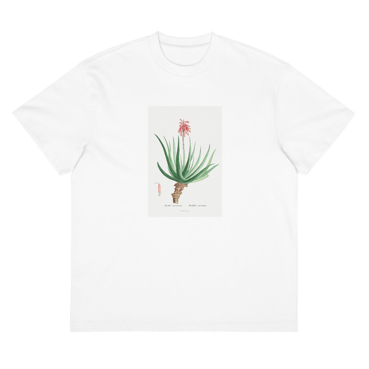 White T-shirt Aloe Socotrina Image Signature