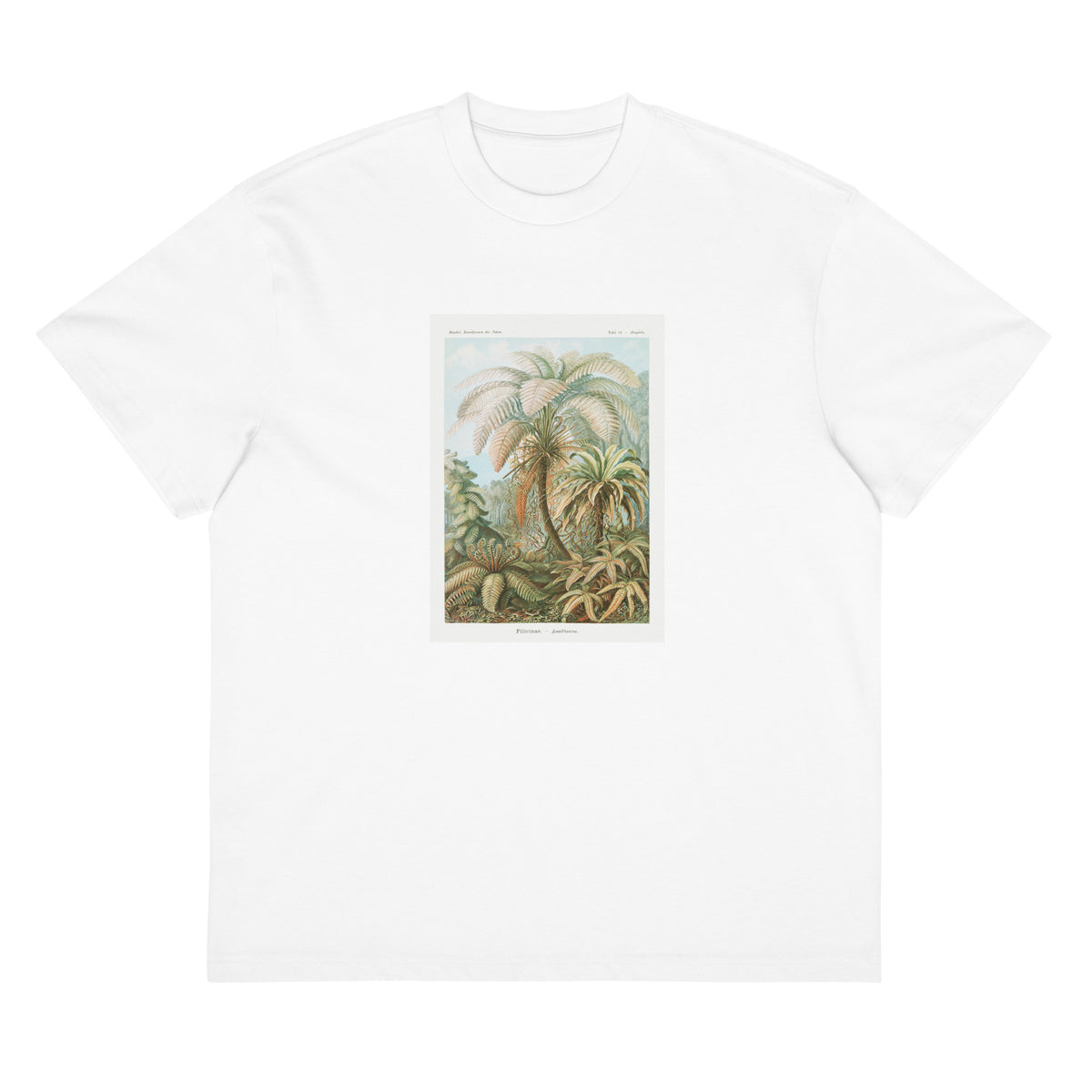 White T-shirt Filicinae Laubfarne Signature