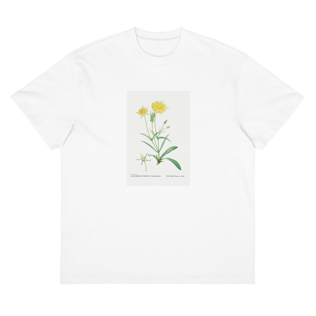 White T-shirt Mesembryanthemum Helianthoides Spatula Leaved Fig Marigold - Pierre-Joseph 1799 Signature