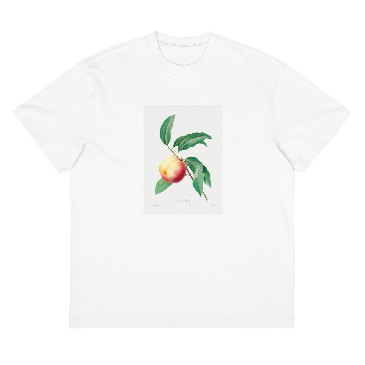 White T-shirt Peach Fruit On A Branch - Pierre-Joseph Redoute 1759 Signature