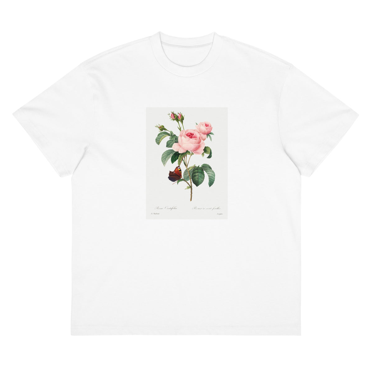 White T-shirt Cabbage Rose - Pierre-Joseph Redoute 1759 Signature