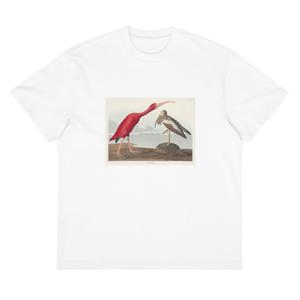 White T-shirt Scarlet Ibis - John James Audubon 1827 Signature
