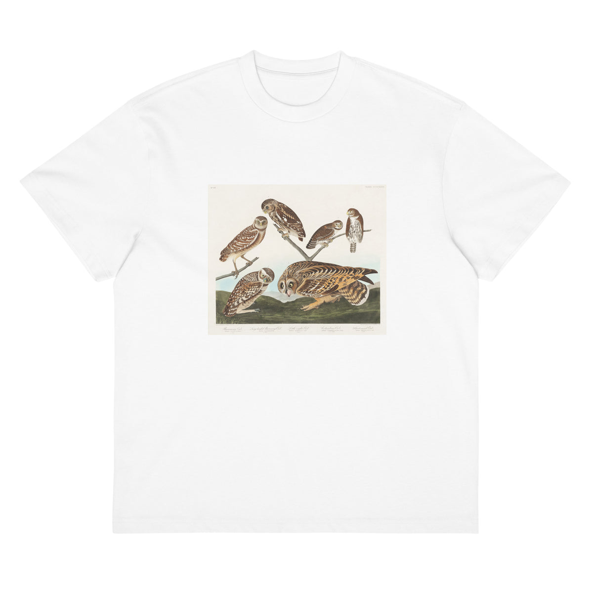 White T-shirt Burrowing Owl Large-Headed Burrowing Owl Little Night Owl Columbian Owl And Short-Cared Owl - John James Audubon 1827 Signature